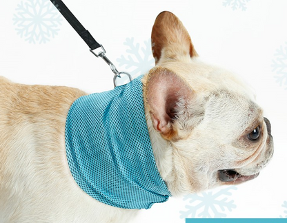 Cooling Triangle Scarf for Bulldogs and Cats (Summer)