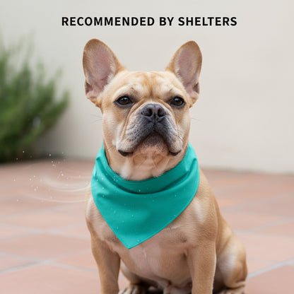 Cooling Triangle Scarf for Bulldogs and Cats (Summer)