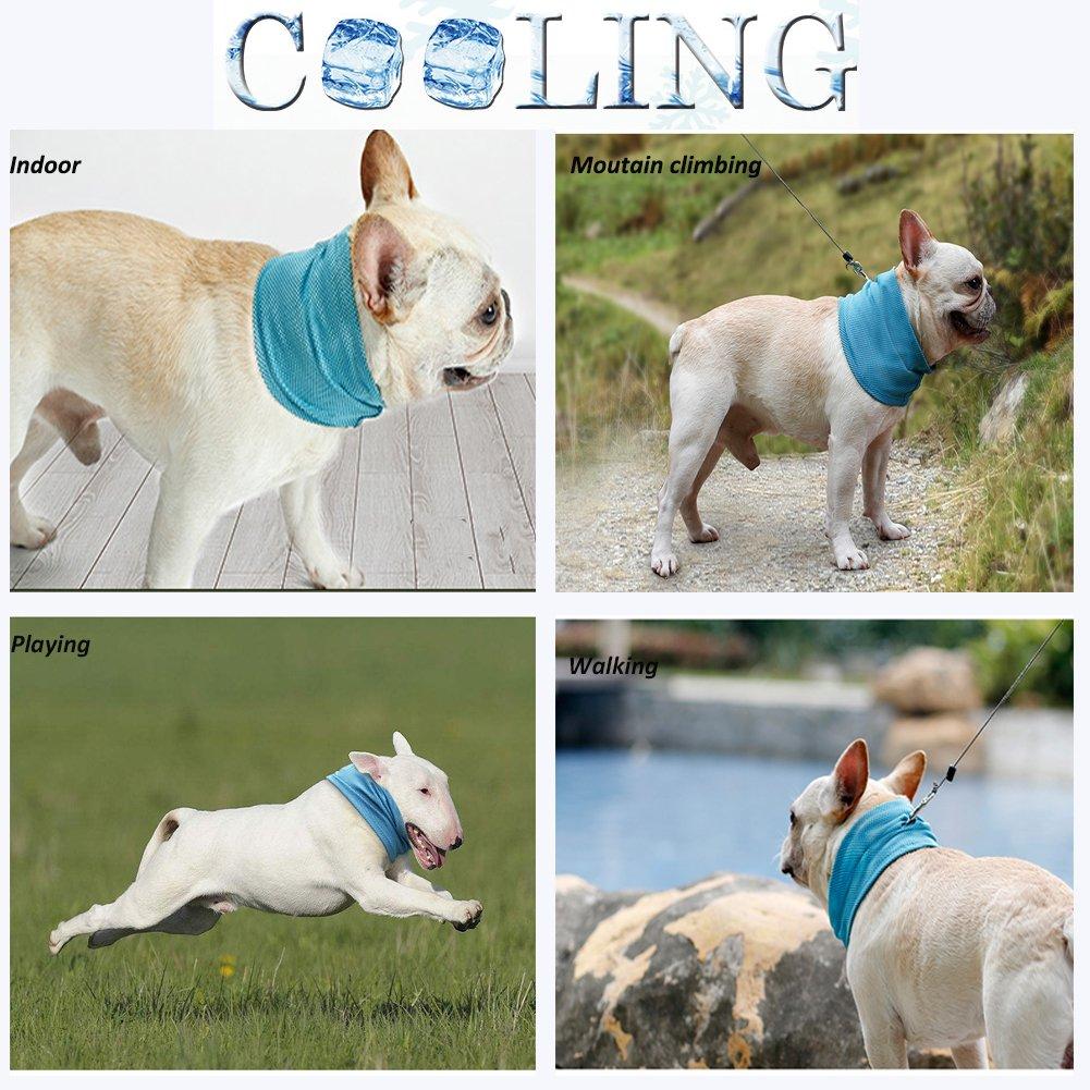 Cooling Triangle Scarf for Bulldogs and Cats (Summer)